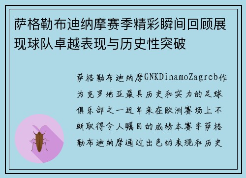 萨格勒布迪纳摩赛季精彩瞬间回顾展现球队卓越表现与历史性突破