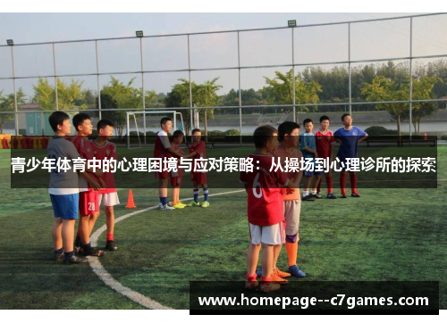 青少年体育中的心理困境与应对策略：从操场到心理诊所的探索