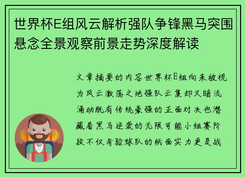 世界杯E组风云解析强队争锋黑马突围悬念全景观察前景走势深度解读